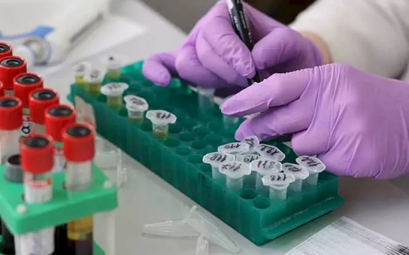 Phytobiotics Brasil: melhor para trabalhar no agronegócio entre as pequenas empresas