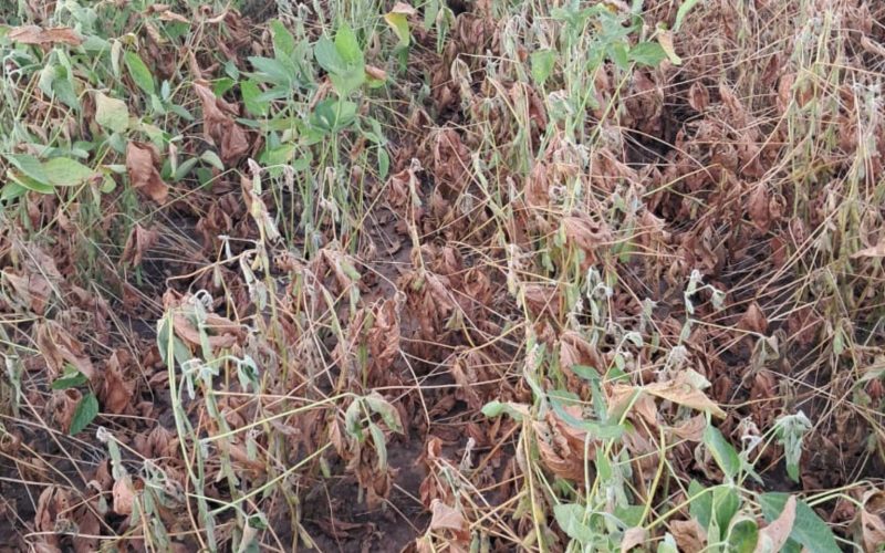 Governo mudará regras e permitirá mais 56 municípios do RS na renegociação de dívidas