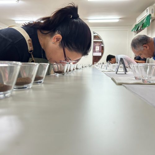 Produtores de cafés especiais aprendem a degustar e avaliar grãos