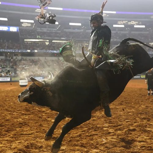 Mundial de rodeio em touros da PBR começa com domínio americano