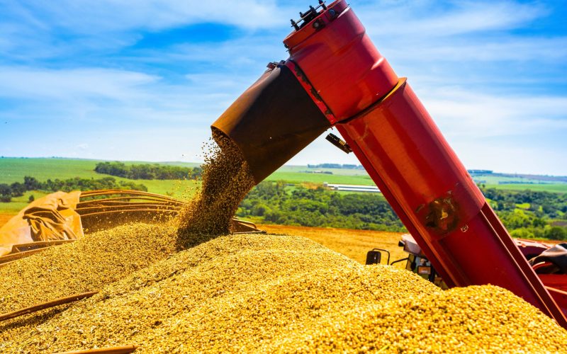 Ministério avalia que soja brasileira seguirá competitiva no mercado global