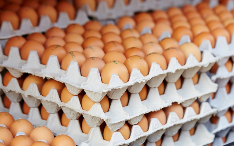 Preços dos ovos e frango cairão como consequência dos embargos às exportações