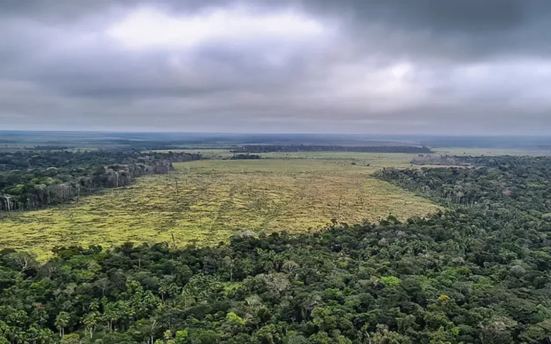 Deputado defende exclusão de Mato Grosso da Amazônia Legal