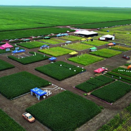 BrasilAgro lucra menos e avalia vender ativos