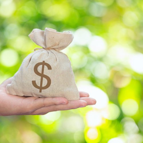 Banco Central autoriza cooperativas a captar poupança rural e ampliar crédito no campo