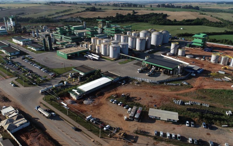 Grupo Potencial dá início à compra antecipada de soja