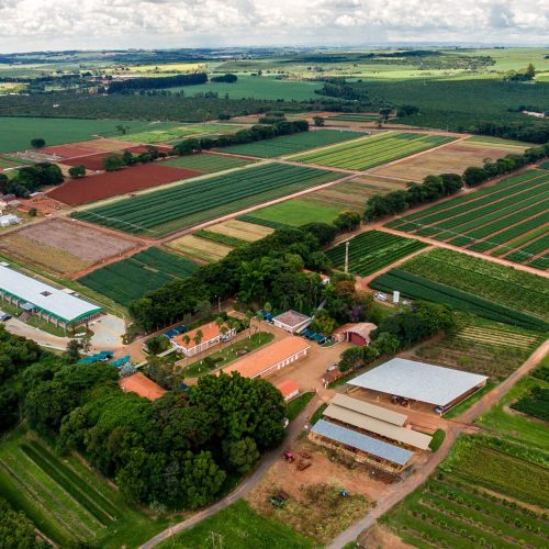 Basf aposta na América Latina, mas vê falta de mão de obra como entrave