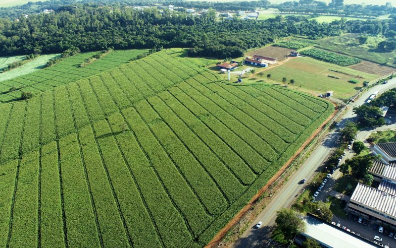 Broto firma parceria com fazenda laboratório para startups testarem produtos