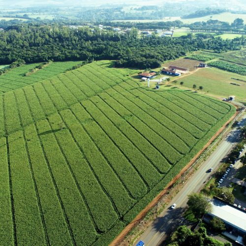 Embrapa seleciona startups para testar tecnologias em fazenda laboratório