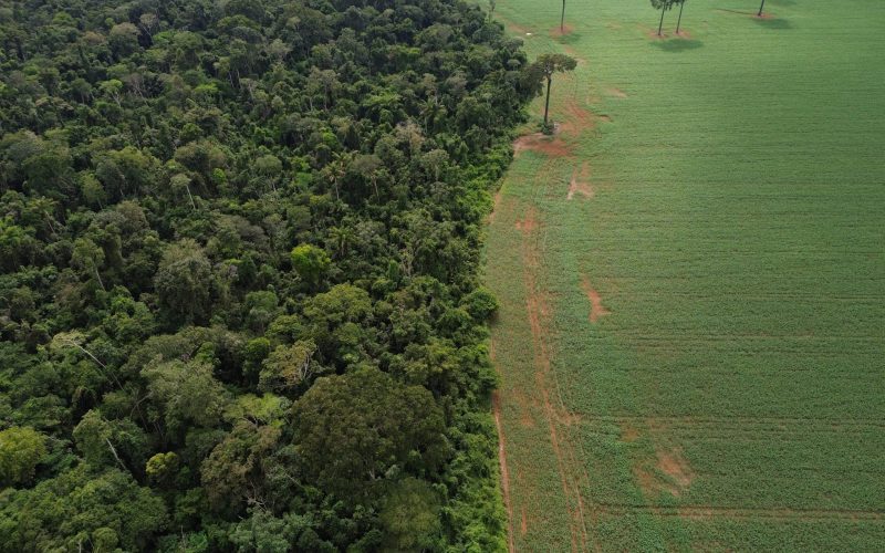 Governo avalia se pode interferir em decisão do Cade contra Moratória da Soja