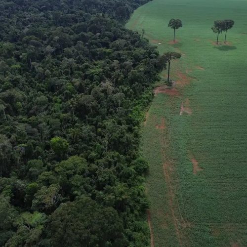 União pede para entrar como parte em processo no Cade contra a Moratória da Soja