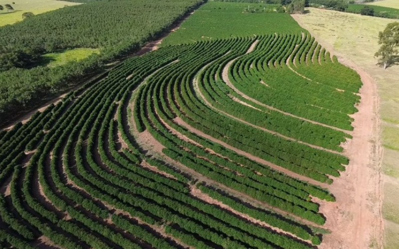 Café arábica da Nova Alta Paulista
recebe selo de indicação geográfica