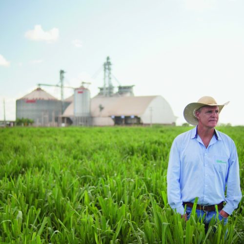 Fazenda Roncador é campo aberto de inovação