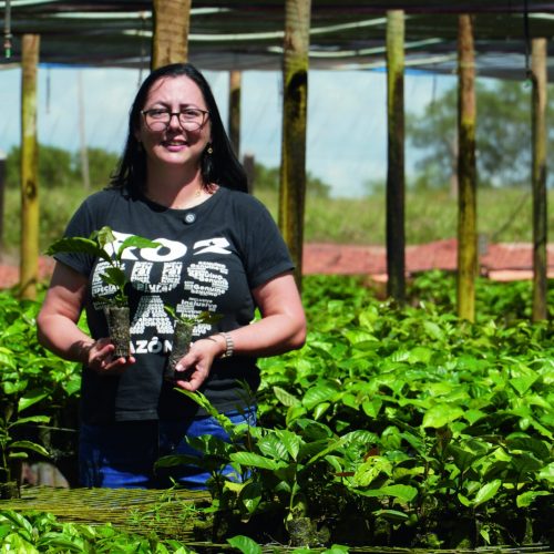 Como a união entre pesquisa e tradição deu forma à cultura do café no Brasil