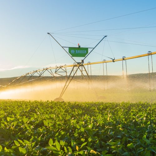 Bauer emite CRA inédito para financiar irrigação