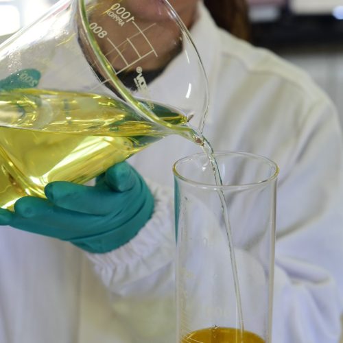 Biocombustíveis serão fundamentais para carbono zero em 2050