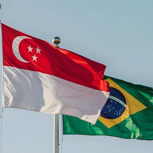 Singapura autoriza importação de sebo bovino do Brasil