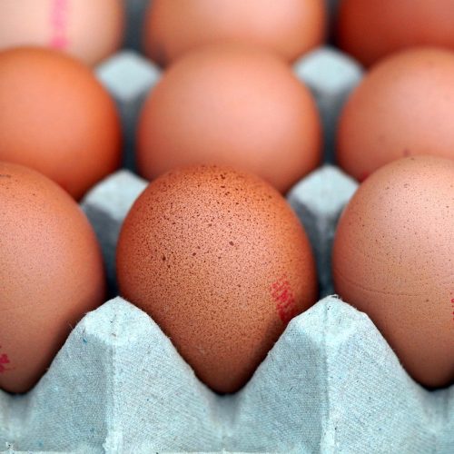 Exportações brasileiras de ovos crescem quase 40% em setembro