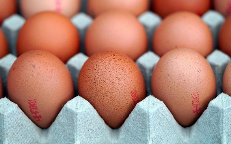 Exportações brasileiras de ovos crescem quase 40% em setembro