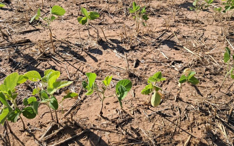 BNDES confirma abertura de protocolo nesta quinta-feira para linha destinada à renegociação