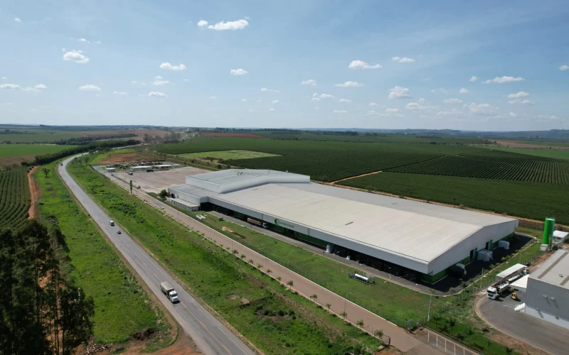 Cooperativa de café começa a monitorar qualidade do grão em MG