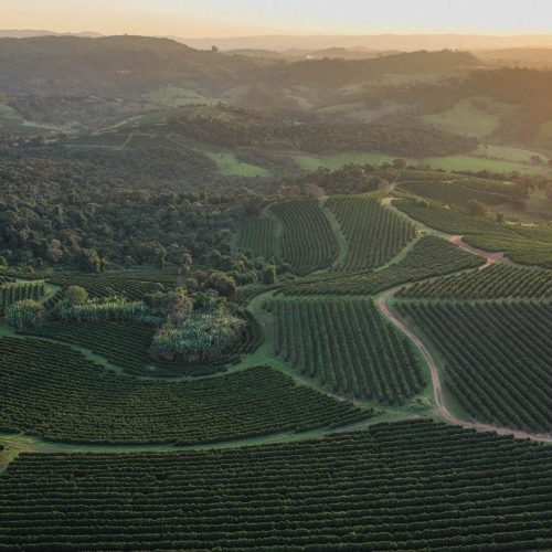 Orfeu é a primeira marca de café brasileira certificada em agricultura regenerativa pela Rainforest Alliance