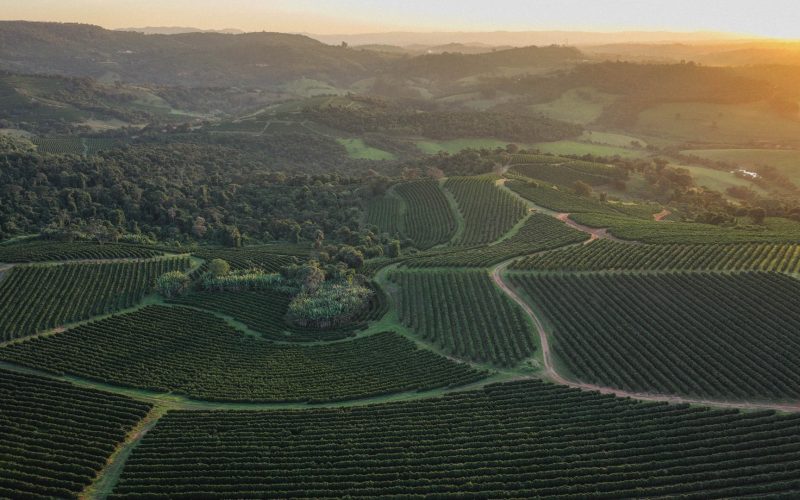 Plataforma vai validar áreas para exportação