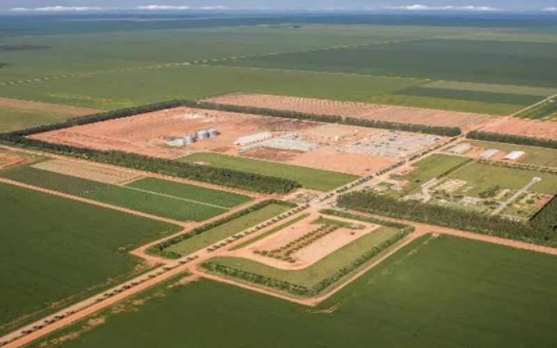 Resultados da SLC Agrícola agradam analistas financeiros