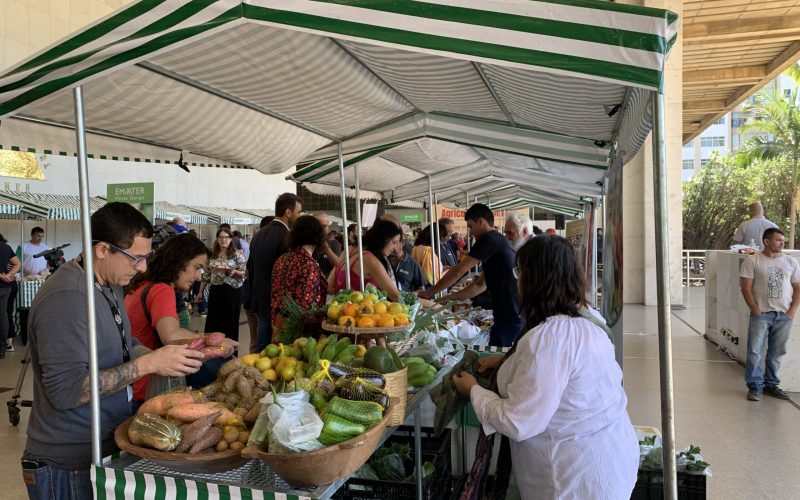 Feiras livres sustentam 19 mil famílias de agricultores em Minas Gerais