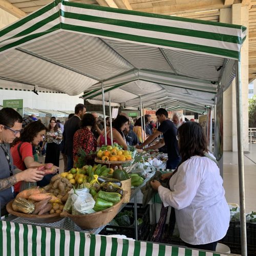 Feiras livres sustentam 19 mil famílias de agricultores em Minas Gerais