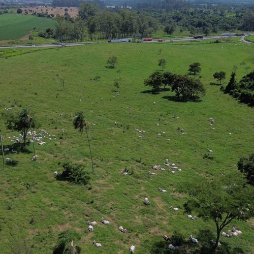 Ministério Público investiga venda de fazenda de pesquisa em São Paulo