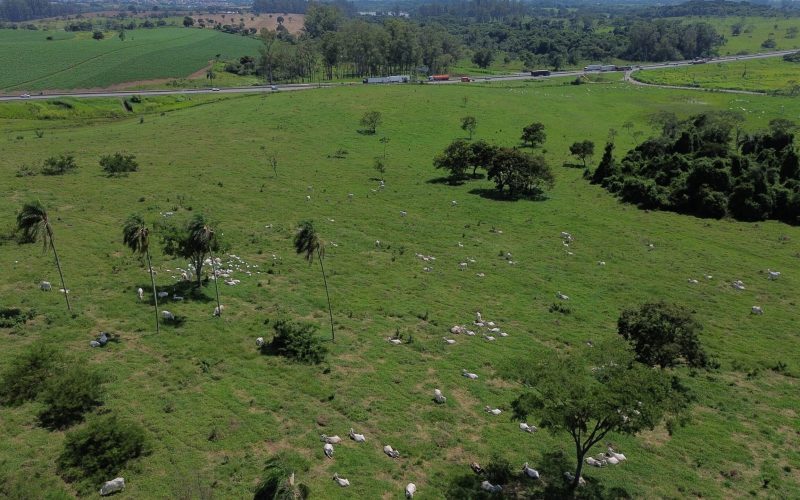 Ministério Público investiga venda de fazenda de pesquisa em São Paulo
