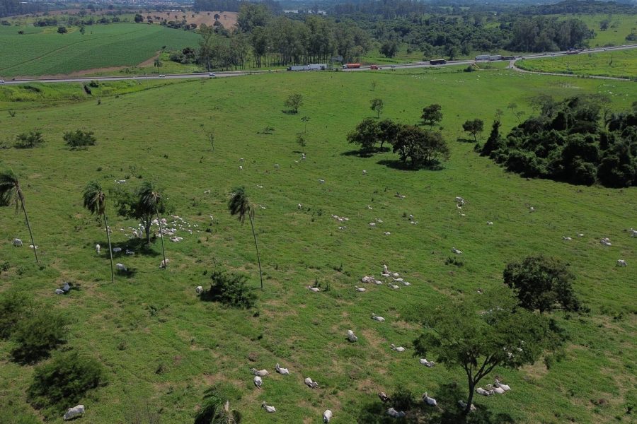 Ministério Público investiga venda de fazenda de pesquisa em São Paulo