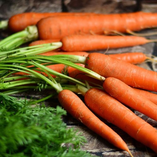 O que plantar em agosto? Veja opções para cultivar na horta neste mês