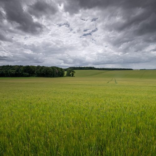 Retorno das chuvas favorece umidade do solo em áreas agrícolas do Paraná