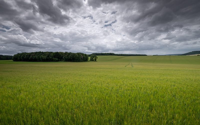Retorno das chuvas favorece umidade do solo em áreas agrícolas do Paraná