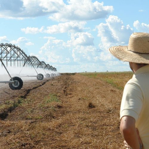Cresce demanda por irrigação, mas juros e crédito são entrave
