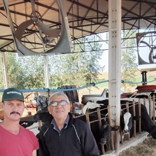 Pecuaristas triplicam produção de leite em projeto no Paraná