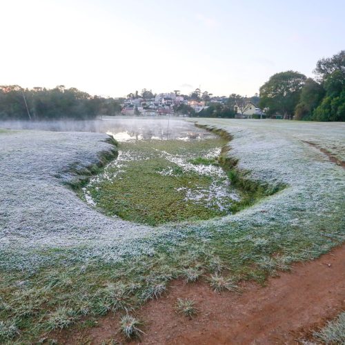 Depois da neve, Brasil tem alerta de geada para cinco estados, nesta sexta-feira