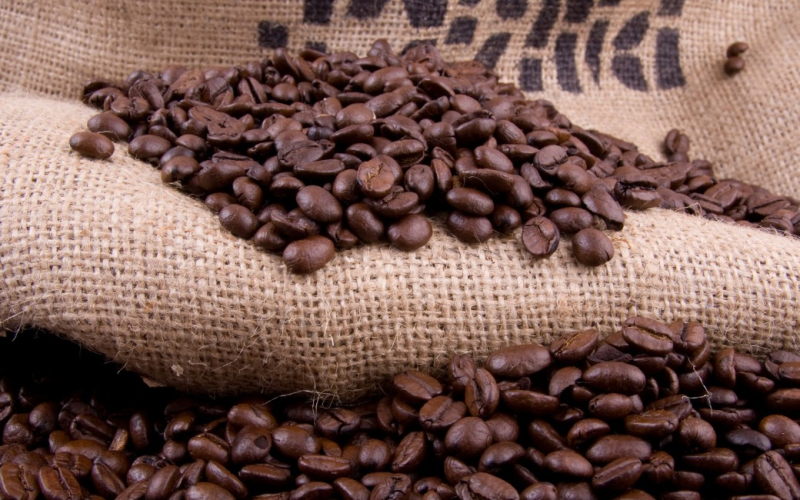 Com tarifaço, exportações de café do Brasil para os EUA despencam