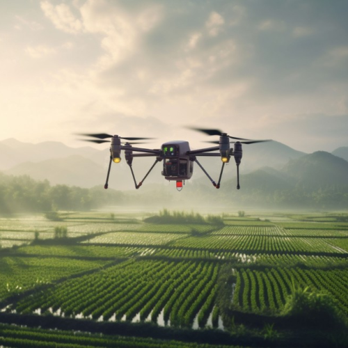 Inovação avança três vezes mais no agro do que em outros setores, diz estudo