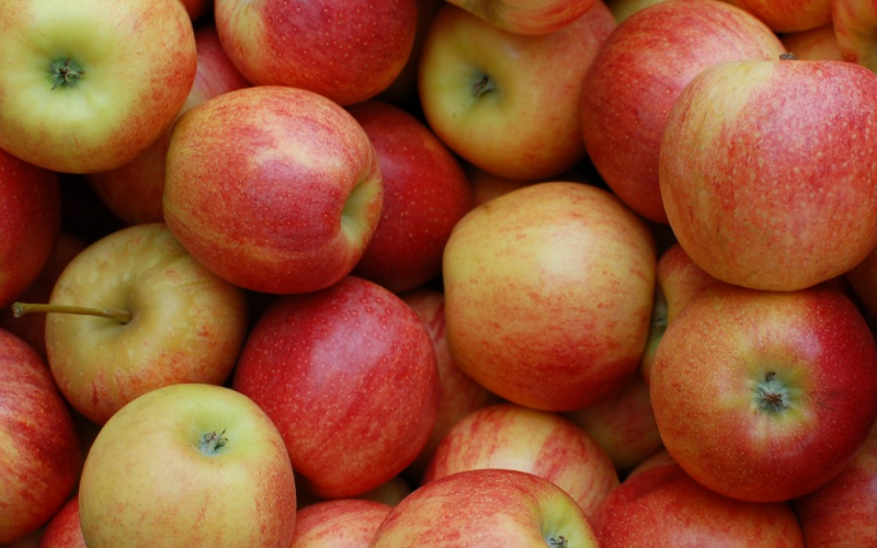 Brasil busca abrir mercados asiáticos para maçã