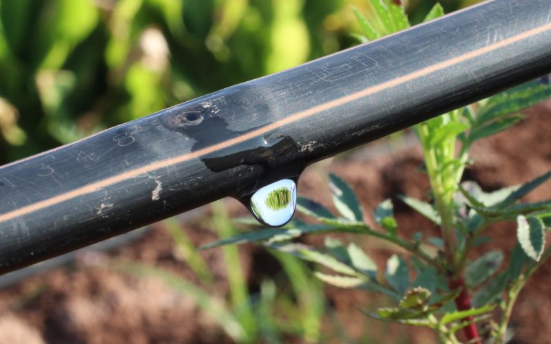 Governo cria programa de irrigação sustentável para agricultura familiar