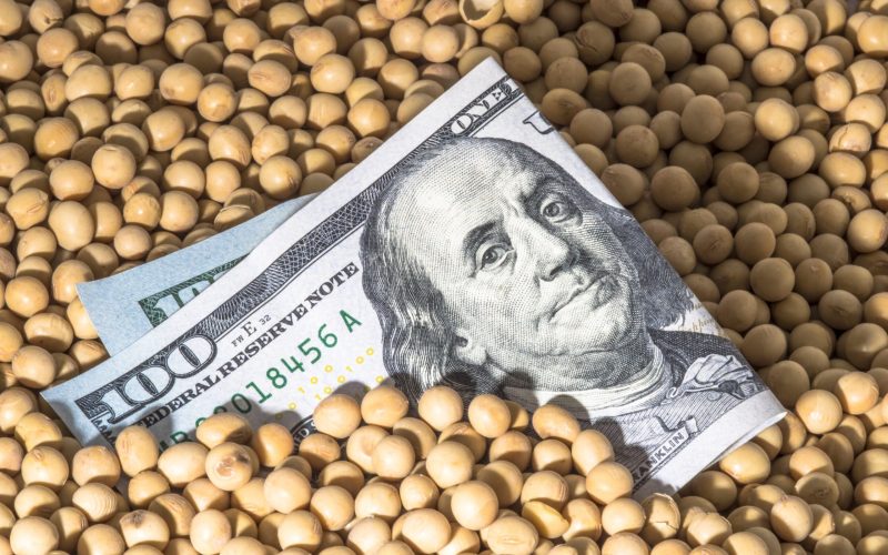 Mercados de commodities agrícolas nos EUA estão fechados por feriado
