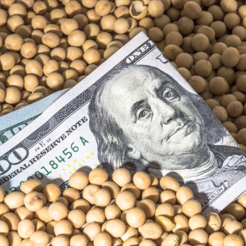 Soja, milho e trigo sobem na abertura da bolsa de Chicago