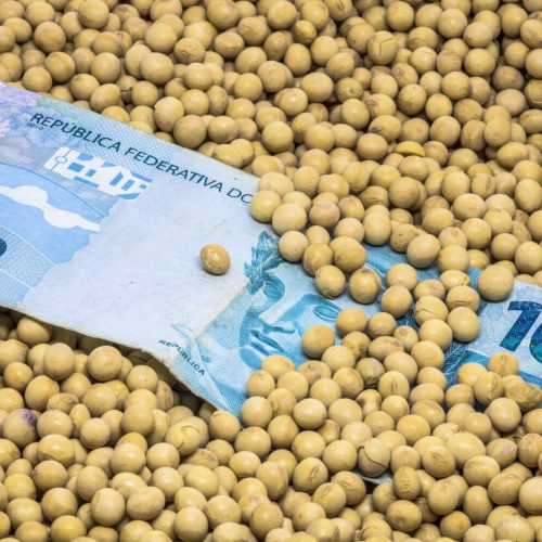 Com endividamento crescente no campo, desembolso de crédito rural cai 13%