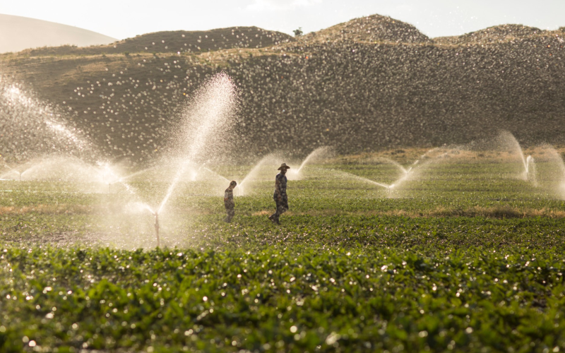 Governo quer aprimorar regras de descontos em tarifas de energia para irrigantes
