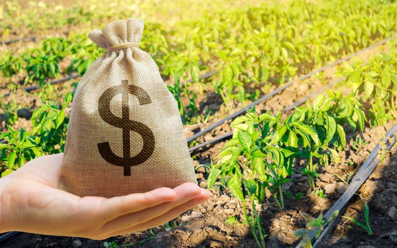 Impedimentos socioambientais do crédito serão replicados no seguro rural