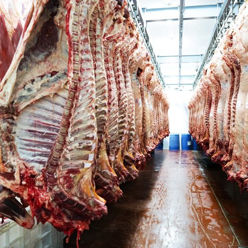 Ministério chinês confirma imposição de tarifas de 55% a carne bovina importada