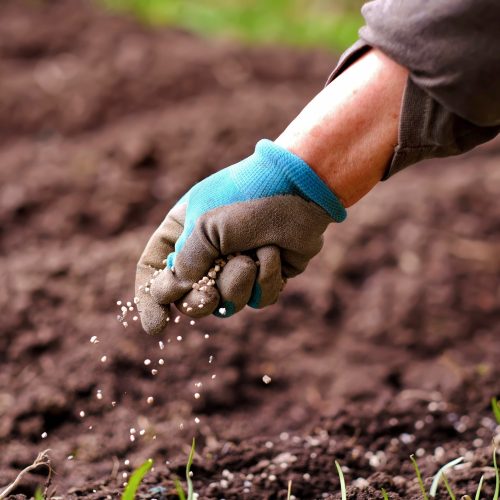 Agrion levanta R$ 48 milhões para construir nova fábrica de fertilizante